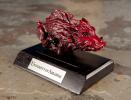 BCHolder