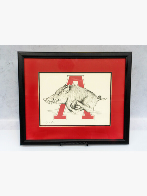 Framed Razorback Print image