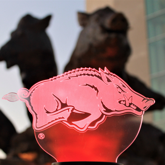 Hog Hologram image