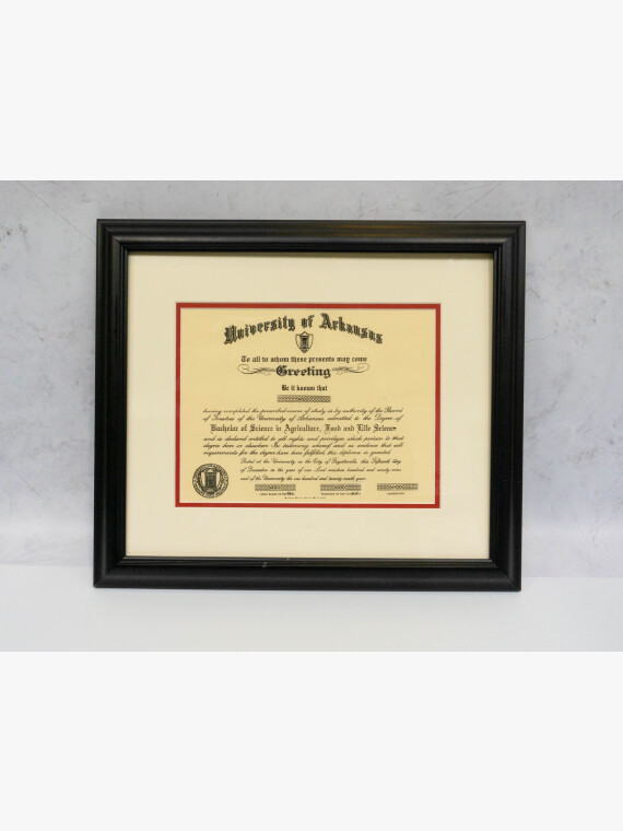 Framed Diploma image
